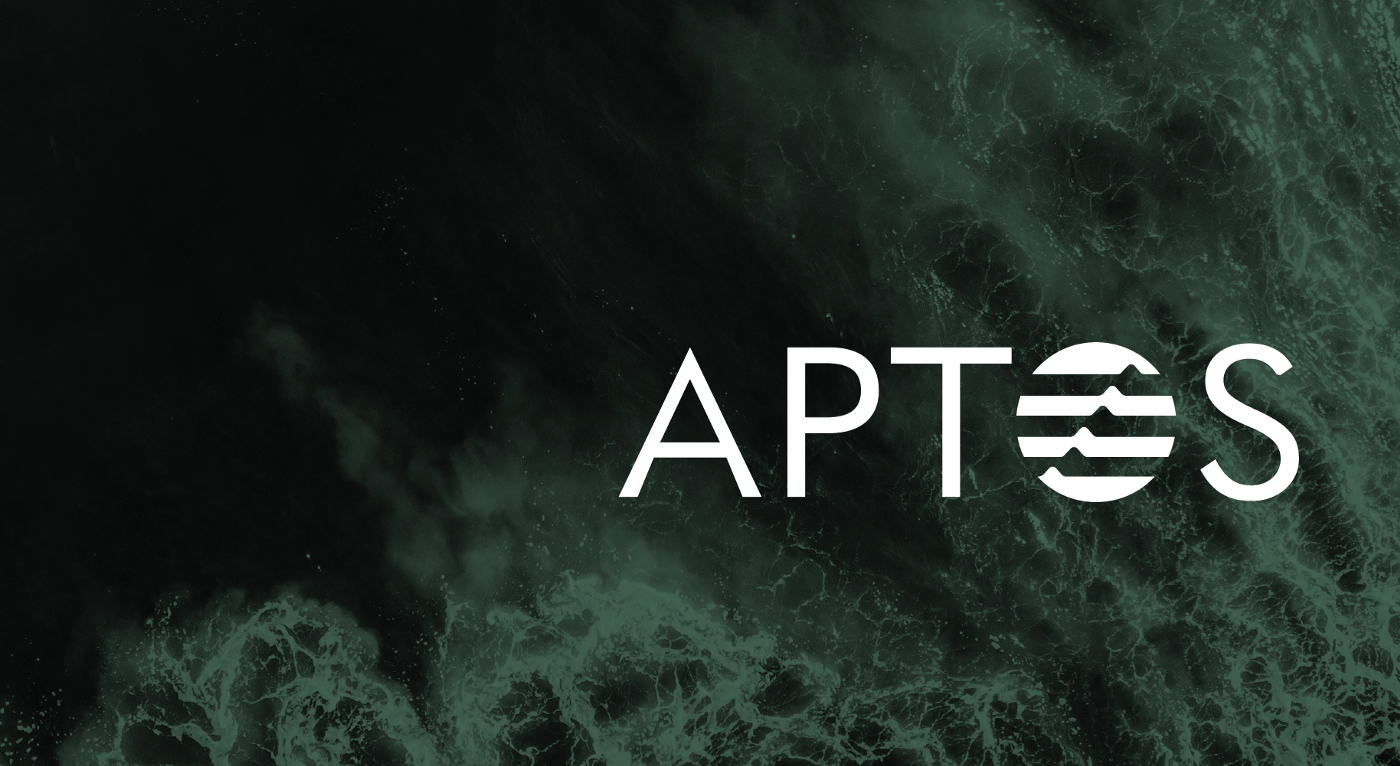 Aptos Blockchain Development Company