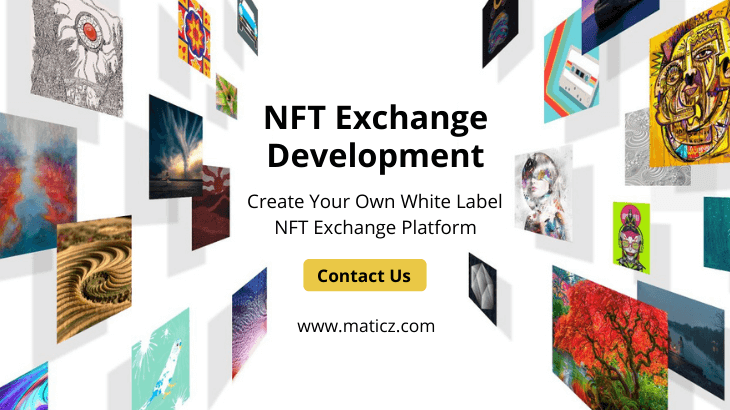 NFT Exchange Development Company 
