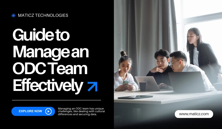 How to Manage an Offshore Development Team Effectively?