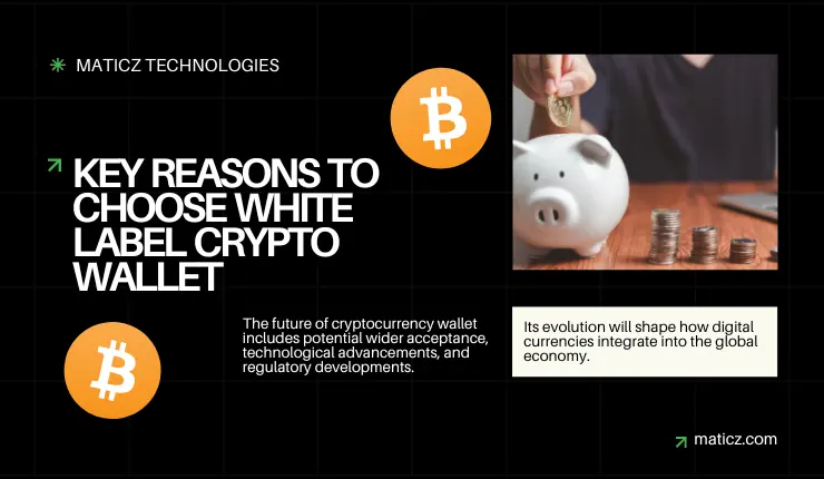 Why You Should Opt For White Label Crypto Wallet?