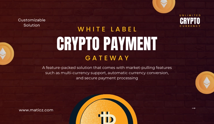 Advanced White Label Crypto Payment Gateway