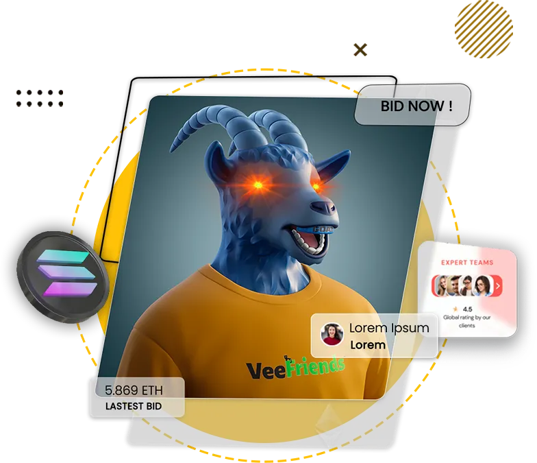 Solana NFT Marketplace Development Company